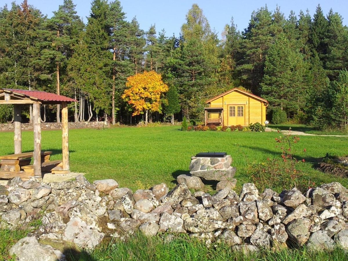 Maenniste Holiday Home Hiievalja Camera foto